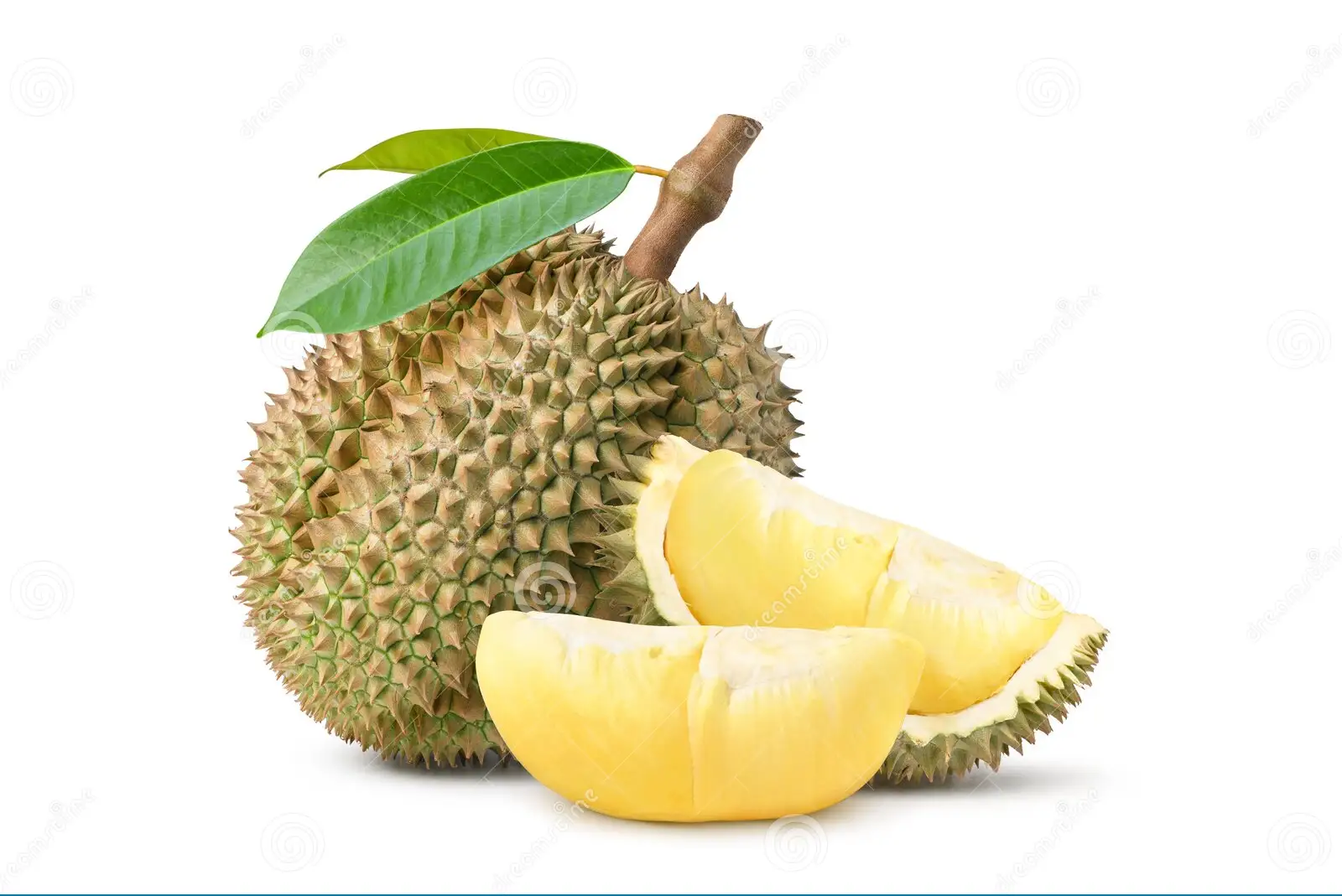 ডুরিয়ান