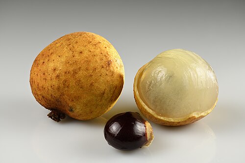 লংগান
